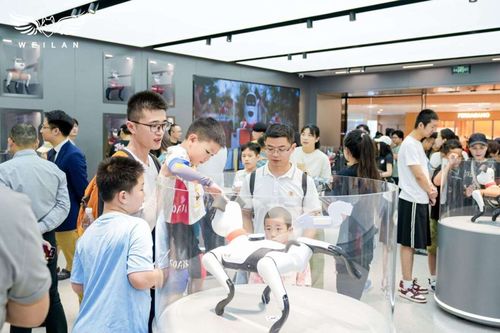 蔚蓝科技发布具身智能产品矩阵，引领AI新纪元的信息技术咨询服务革新