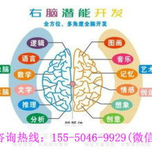 厦门学之源科技开发公司 专注早教教材与幼教产品，引领信息技术咨询服务